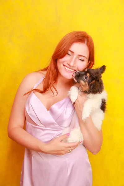 放松的红头发的女孩拥抱在黄色背景的小狗。工作室肖像的白色有吸引力的女人与狗寒心. — 图库照片
