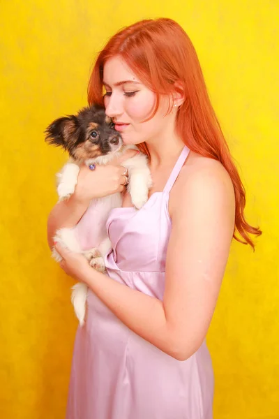 Fille rousse détendue embrassant chiot sur fond jaune. Portrait studio d'une femme blanche séduisante qui se refroidit avec un chien . — Photo