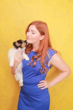 Sarı arka planda köpek yavrusu kucaklayan rahat kızıl saçlı kız. Beyaz çekici kadın köpek ile ürpertici Stüdyo portresi.