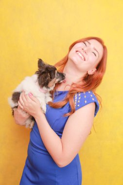 Sarı arka planda köpek yavrusu kucaklayan rahat kızıl saçlı kız. Beyaz çekici kadın köpek ile ürpertici Stüdyo portresi.