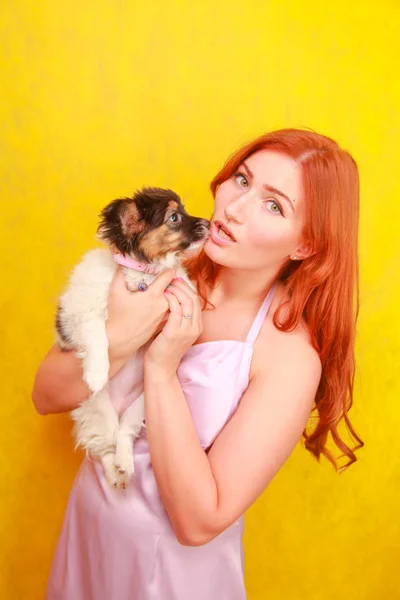 Relaxado menina ruiva abraçando filhote de cachorro no fundo amarelo. Estúdio retrato de branco atraente mulher refrigeração com cão . — Fotografia de Stock