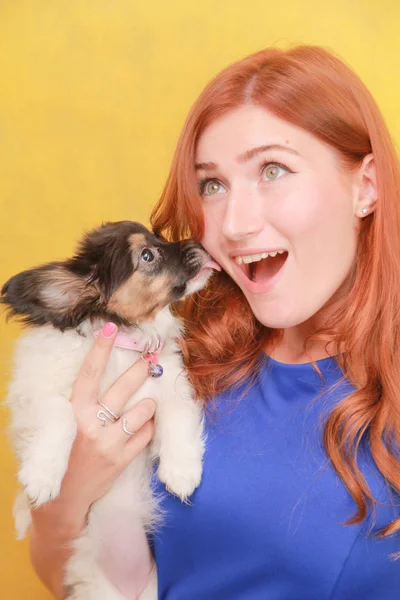 Fille rousse détendue embrassant chiot sur fond jaune. Portrait studio d'une femme blanche séduisante qui se refroidit avec un chien . — Photo