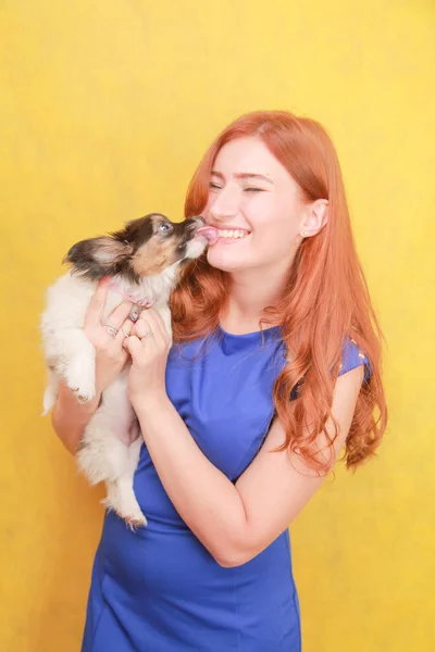 Fille rousse détendue embrassant chiot sur fond jaune. Portrait studio d'une femme blanche séduisante qui se refroidit avec un chien . — Photo