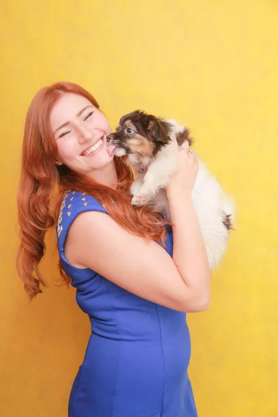 Fille rousse détendue embrassant chiot sur fond jaune. Portrait studio d'une femme blanche séduisante qui se refroidit avec un chien . — Photo