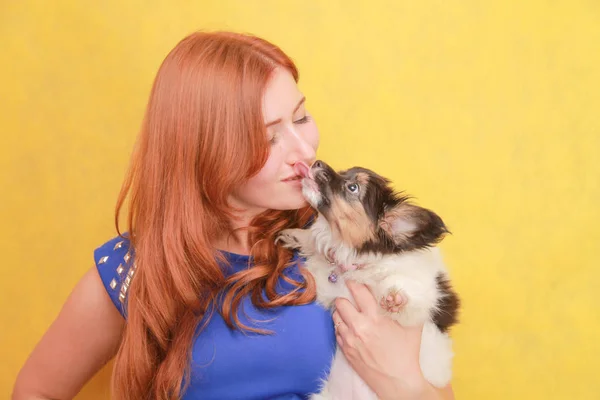 Rilassato ragazza dai capelli rossi abbracciando cucciolo su sfondo giallo. Studio ritratto di donna attraente bianco agghiacciante con cane . — Foto Stock