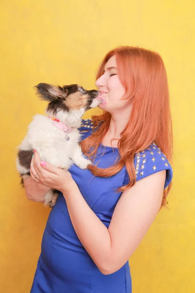 Sarı arka planda köpek yavrusu kucaklayan rahat kızıl saçlı kız. Beyaz çekici kadın köpek ile ürpertici Stüdyo portresi. — Stok fotoğraf