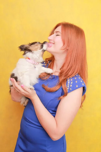 Fille rousse détendue embrassant chiot sur fond jaune. Portrait studio d'une femme blanche séduisante qui se refroidit avec un chien . — Photo