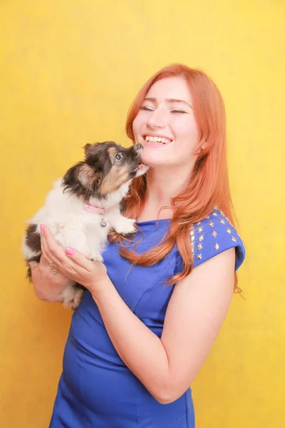 Relaxado menina ruiva abraçando filhote de cachorro no fundo amarelo. Estúdio retrato de branco atraente mulher refrigeração com cão . — Fotografia de Stock