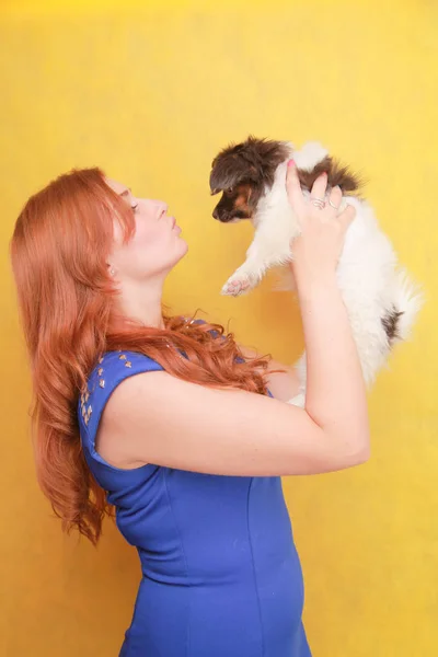 Relaxed red-haired girl embracing puppy on yellow background. Studio portrait of white appealing woman chilling with dog. Stock Image