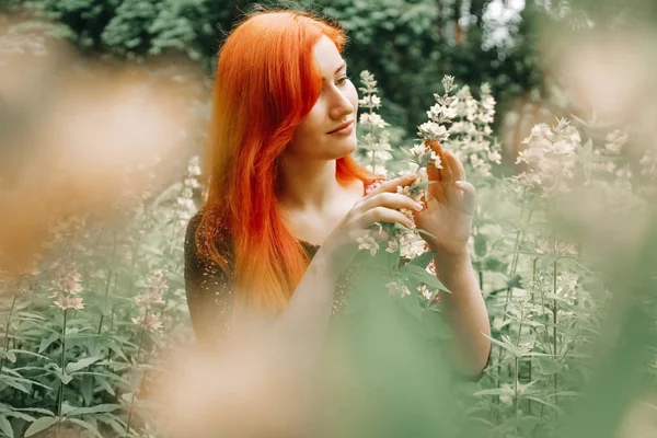 kiraz rengi gece elbisesi kırmızı saçlı kadın şehir parkı arka planda yürüyüş ve yaz keyfini çıkarın