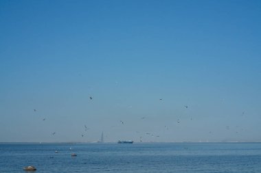 Hiç kimsesi olmayan mavi güzel bir deniz. özgürlük, gökyüzü ve su.