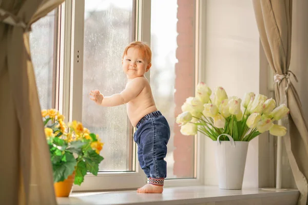 A little boy looks in the window. — Stock Photo, Image