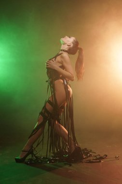 Genç seksi kadın dansçı duman poz