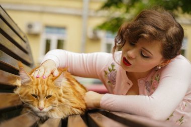 büyük kırmızı maine coon kedi korkutucu ve üzücü. genç sahibi kadın kucaklar ve ilk yürüyüş açık stres onu turuncu evcil hayvan vuruş.