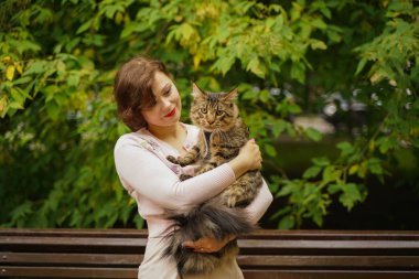 sahibi bir koşum ile bir tasma onu kedi gri Maine Coon yürüyüşe çıkardı. onlar kedinin ilk yürüyüş sırasında sokakta bir bankta oturup.