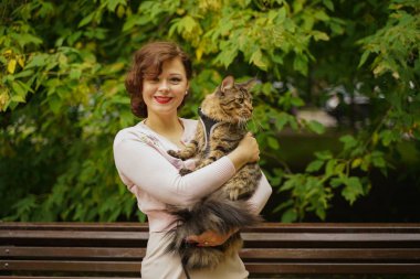 sahibi bir koşum ile bir tasma onu kedi gri Maine Coon yürüyüşe çıkardı. onlar kedinin ilk yürüyüş sırasında sokakta bir bankta oturup.