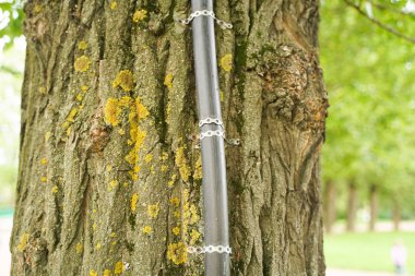 çivili kentsel boru ile eski ağaç, hangi gizli teller elektrik. insanlara kolaylık kavramı ve ağaçlara ölüm.