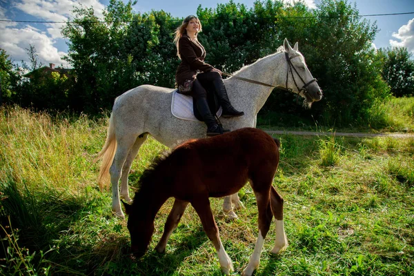 Belle jeune fille caucasienne marchant avec un cheval et profite de l'été dans la campagne . — Photo