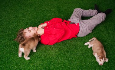 Kırmızı tişörtlü beyaz çocuk, evin yakınındaki çimlerin üzerinde iki sevimli köpecikle oynuyor..