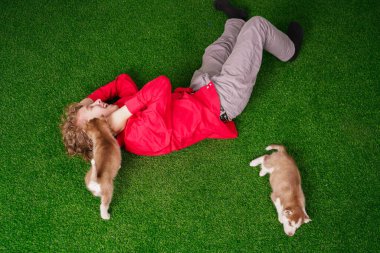 Kırmızı tişörtlü beyaz çocuk, evin yakınındaki çimlerin üzerinde iki sevimli köpecikle oynuyor..