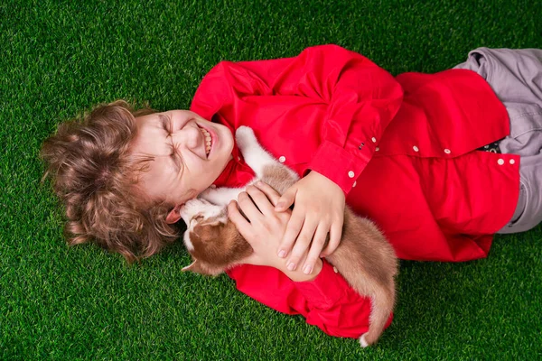 Garçon caucasien en chemise rouge jouer avec deux chiots husky mignon sur l'herbe près de la maison seul . — Photo