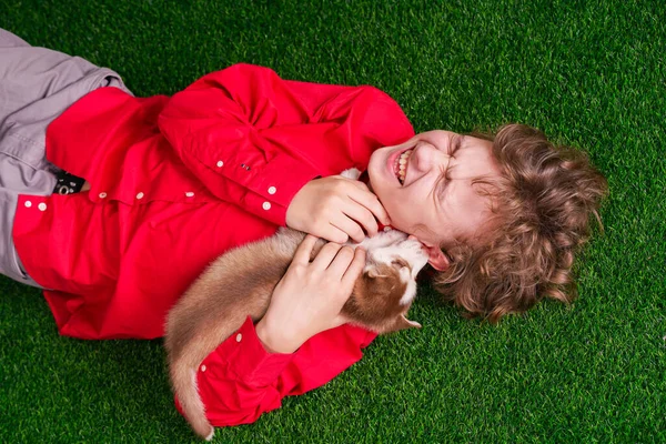 Garçon caucasien en chemise rouge jouer avec deux chiots husky mignon sur l'herbe près de la maison seul . — Photo