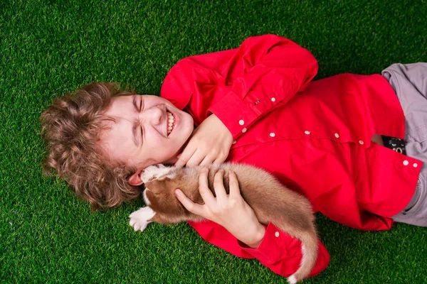 Καυκάσιος αγόρι με κόκκινο πουκάμισο παίζει με δύο χαριτωμένα husky κουτάβια στο γρασίδι κοντά στο σπίτι και μόνο. — Φωτογραφία Αρχείου