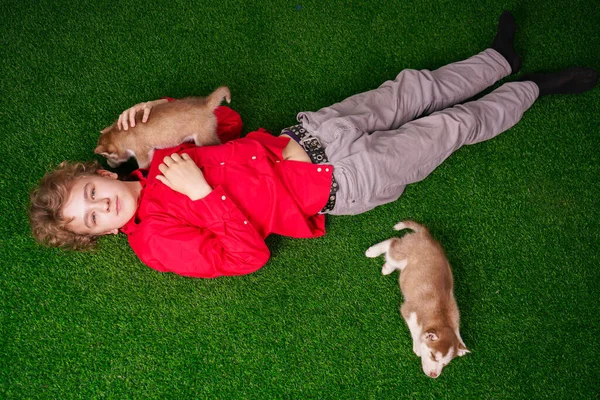 Καυκάσιος αγόρι με κόκκινο πουκάμισο παίζει με δύο χαριτωμένα husky κουτάβια στο γρασίδι κοντά στο σπίτι και μόνο. — Φωτογραφία Αρχείου