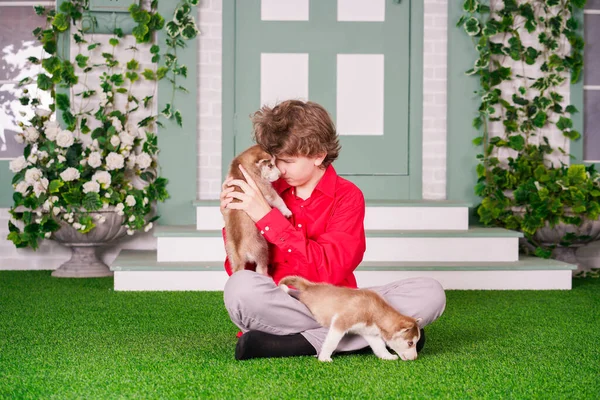 Garçon caucasien en chemise rouge jouer avec deux chiots husky mignon sur l'herbe près de la maison seul . — Photo