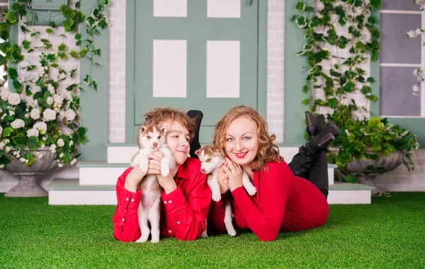 Mãe feliz e filho posar na grama verde com dois filhotes de cachorro husky bonitos — Fotografia de Stock