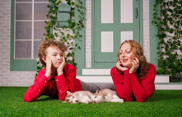 Mãe feliz e filho posar na grama verde com dois filhotes de cachorro husky bonitos — Fotografia de Stock