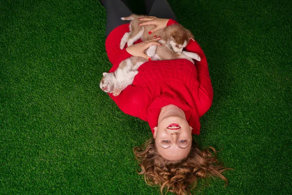 Muito caucasiano plus size mulher em camisola vermelha com dois filhotes de cachorro husky bonito na grama verde — Fotografia de Stock