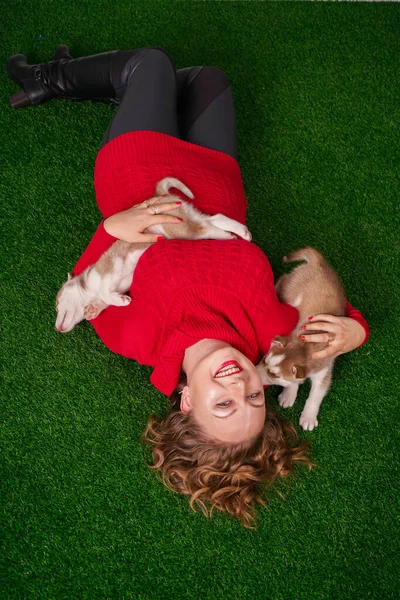 Muito caucasiano plus size mulher em camisola vermelha com dois filhotes de cachorro husky bonito na grama verde — Fotografia de Stock