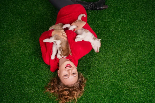 Jolie caucasien plus taille femme en pull rouge avec deux chiots husky mignon sur herbe verte — Photo