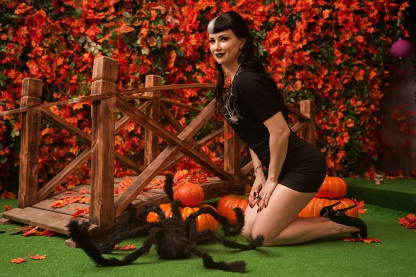 Sexy and attractive brunette witch in autumn colorful park with orange and red leaves posing with pumpkins — 스톡 사진