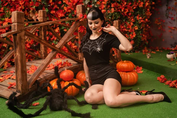 Bonito sexy pin up menina em roupa preta relaxar sentando-se na grama com fundo de folhas de outono. preto cabelo bruxa mulher comer halloween doces . — Fotografia de Stock