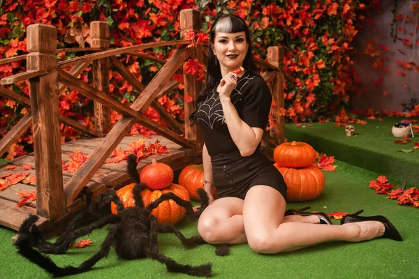Słodkie sexy pin się dziewczyna w czarny strój relaks siedząc na trawie z tle jesiennych liści. czarny włosy czarownica kobieta jedzenie halloween cukierki. — Zdjęcie stockowe