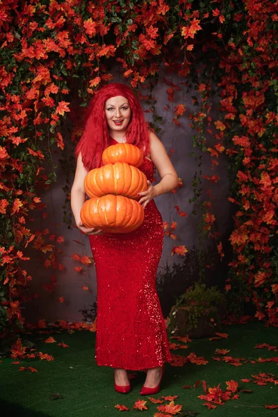 Adulto lindo más chica de tamaño en un vestido largo rojo con lentejuelas sostiene una pila de calabazas grandes y se encuentra en la hierba entre el follaje naranja de otoño —  Fotos de Stock