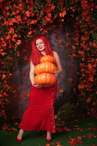 Adulto bonito plus tamanho menina em um vestido longo vermelho com lantejoulas detém uma pilha de grandes abóboras e fica na grama entre a folhagem laranja outono — Fotografia de Stock