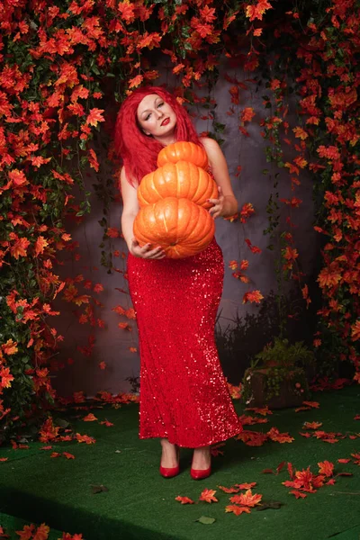 Volwassen schattig plus size meisje in een rode lange jurk met lovertjes houdt een stapel grote pompoenen en staat op het gras tussen de herfst oranje gebladerte — Stockfoto