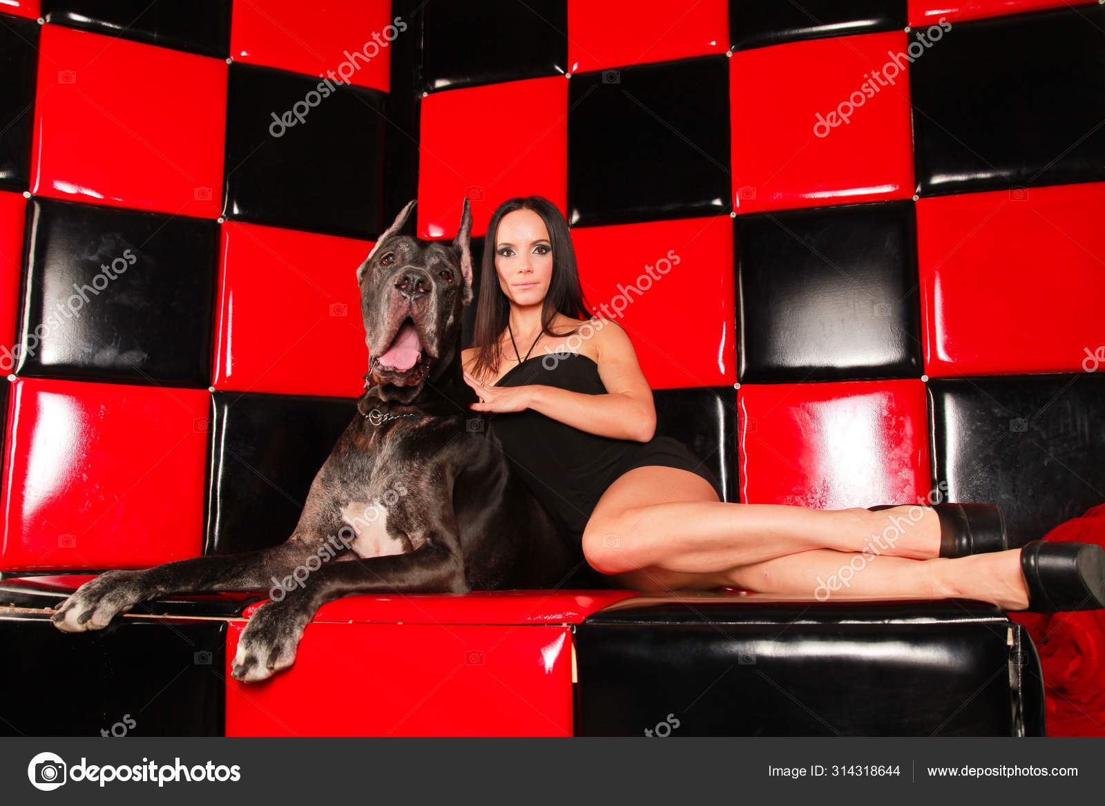 Großer schwarzer hund