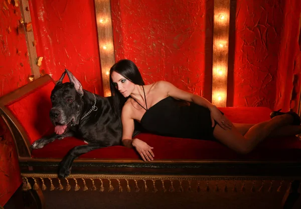 Hermosa joven posando con su perro Great Dane en el estudio en la habitación roja en el sofá —  Fotos de Stock