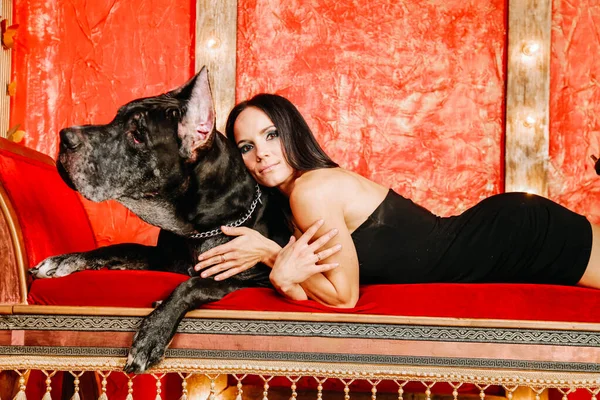 Mulher bonita posando com seu cão Great Dane no estúdio na sala vermelha no sofá — Fotografia de Stock