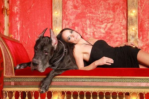 Hermosa joven posando con su perro Great Dane en el estudio en la habitación roja en el sofá —  Fotos de Stock