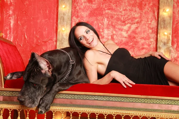 아름다운 젊은 여성 이 큰 데인 개와 함께 빨간 방의 소파에 있는 스튜디오에서 포즈를 취하고 있습니다 — 스톡 사진