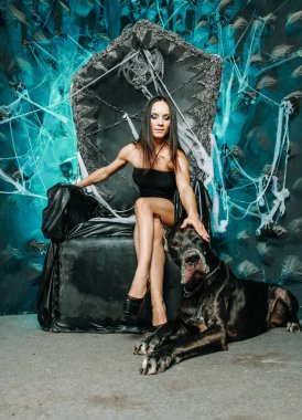 Küçük siyah elbiseli güzel, zayıf bir kadın. Büyük Danimarkalı köpeğiyle birlikte Cadılar Bayramı 'nın arka planında büyük, korkunç siyah tahtta poz veriyor.