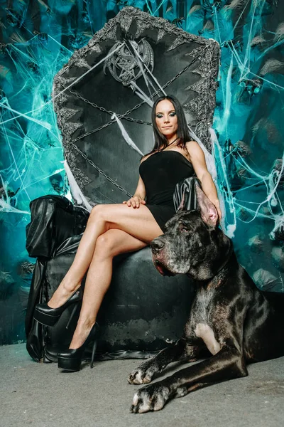 Красивая стройная молодая женщина в маленьком черном платье позирует со своим псом-датчанином в студии на фоне Хэллоуина большого страшного черного трона — стоковое фото