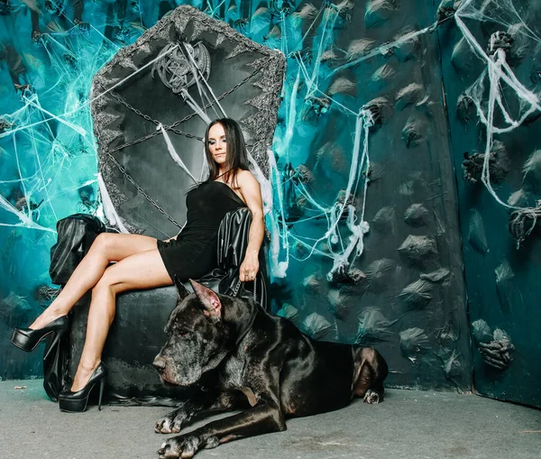 Hermosa mujer joven delgada en pequeño vestido negro posando con su perro Gran Danés en el estudio en el fondo de Halloween de gran trono negro de miedo —  Fotos de Stock