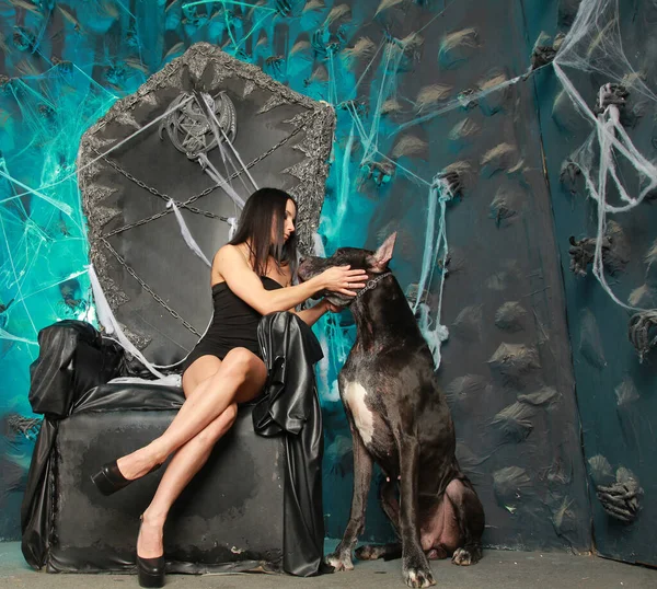 Hermosa mujer joven delgada en pequeño vestido negro posando con su perro Gran Danés en el estudio en el fondo de Halloween de gran trono negro de miedo —  Fotos de Stock