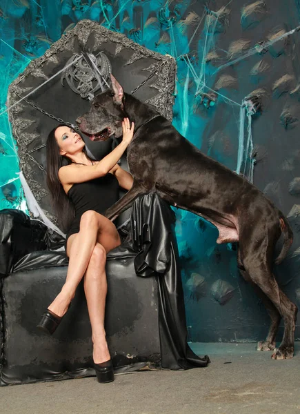 Hermosa mujer joven delgada en pequeño vestido negro posando con su perro Gran Danés en el estudio en el fondo de Halloween de gran trono negro de miedo —  Fotos de Stock